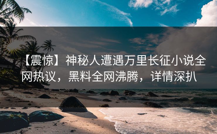 【震惊】神秘人遭遇万里长征小说全网热议，黑料全网沸腾，详情深扒