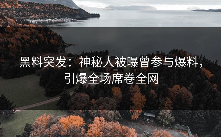 黑料突发：神秘人被曝曾参与爆料，引爆全场席卷全网  第2张